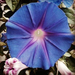 Meet your Posher, Tami